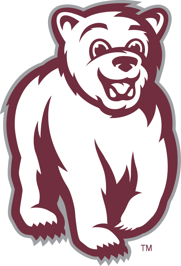 Montana Grizzlies 2010-Pres Mascot Logo v3 diy DTF decal sticker